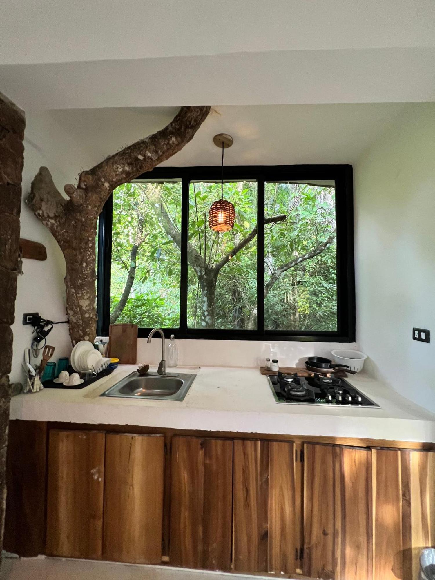 El Valle Taino Beach Lofts מראה חיצוני תמונה